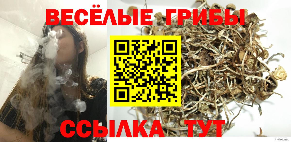 Галлюциногенные грибы мицелий  Вход с VPN  Фролово 